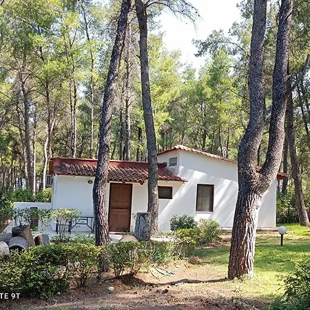 Family Villa In Sani - Sleeps 6 - Parking - Wifi Villa Sani (Chalkidiki)